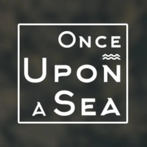 Once Upon a Sea - Ronit Hillel - The Muse cover artwork from the official Meta Store page